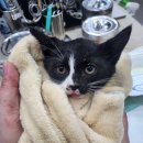 삼작로107번길 이미지