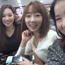 셀다