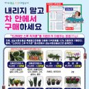 스루 이미지