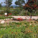 가야농장 이미지