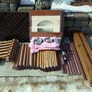 꿈꾸는 강아지 이미지