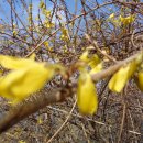 해파랑길 3코스 이미지