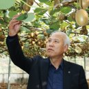 영농조합법인 그린제주 이미지