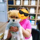 성주군노인회관 | ​장정자강사 9월 활동 보고 &#39;열정가득&#39; 전국을 누비다! ​