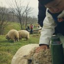 흥일목장 이미지