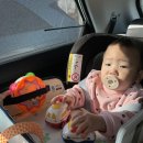 (주)서원 함평나비(무안)휴게소 | [2박 3일 전남여행] 1일차: 목포 뿌시기('1박 2일' 따라하기)