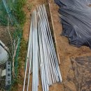 넝쿨농장 이미지