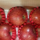 가나안농원 이미지