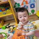 과일담아요