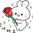 위드미펫살롱 이미지