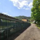 백용낚시터 이미지