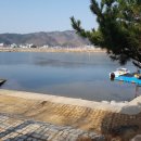 오십천마리나 이미지