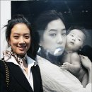 엘리강스 이미지