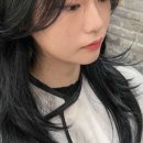 지호헤어 이미지