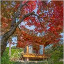 호암 미술관 이미지