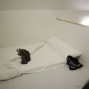 바오마루 이미지