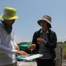 제두염전 이미지