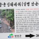 백화정 이미지
