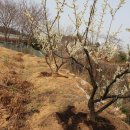 약손건강안마지압원 이미지