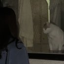 지에스25 대구동촌파크점 이미지