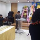 강원산양삼 이미지