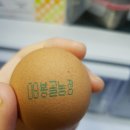 봉골농장 이미지