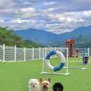 멍스빌리지풀빌라4 | 조종면 펜션 멍스빌리지풀빌라 가평에서 이곳을 왜 추천하는지