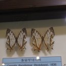 자산공원(빠삐용관) 이미지