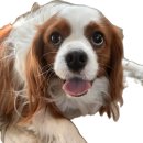 (주)더늘봄 | [라떼아트챔피언강사님] '늘봄 커피작업실'에서 하루만에 실력 완전 Up!