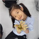 늘푸른 태권도장 이미지