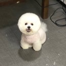 38점5도씨 이미지