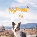 대중도기 이미지