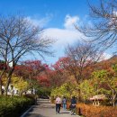 배론성지 이미지