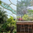 [2024 하반기 시민대학] <월례특강> 새로운 노년의 발명 | 부천 수피아식물원 야간개장 할인 정보