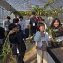 진로농장 이미지