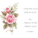 파뿌리김치찌게