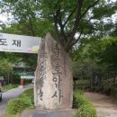 미스터피자 신림녹두점 이미지