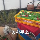 비슬로63길 이미지