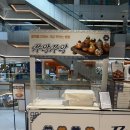 대관령팝업하우스 | 타임빌라스 수원 팝업 _개성주악 맛집 서순라길 쭈악쭈악