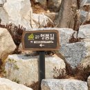 봉주로길 이미지