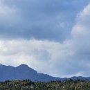 슈바이쳐약국 이미지