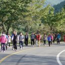 성산면복지회관 이미지