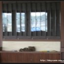 엘리트당구장 이미지