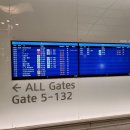 수원-0859 | <2021 몰디브 신혼여행> 코로나시국 몰디브 오젠마두 1일차 - 인천출국 도하경유 말레도착 카타르항공...