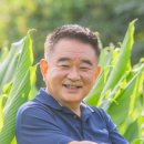 황금 농장 이미지