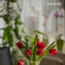 호선실버센터