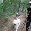 길사이언스 이미지