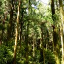 편백권역마을 이미지