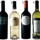 세계5위의 와인 생산국 칠레 와이너리 이미지