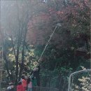 자연유치원 이미지